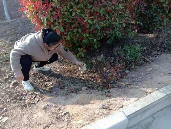 保护校园环境，共建绿色家园